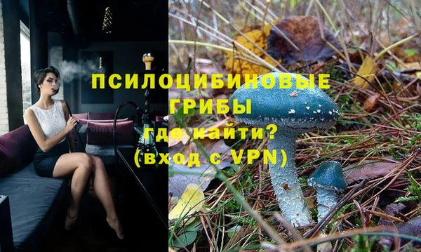 твердый Алексин