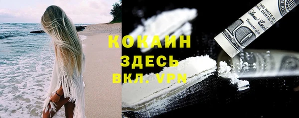 твердый Алексин